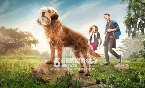 《神探狗笨吉》电影解说文案