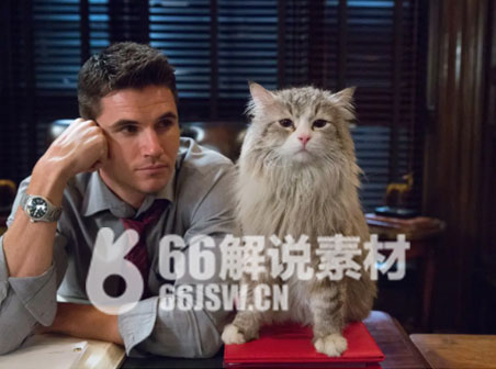 《九条命》电影解说文案