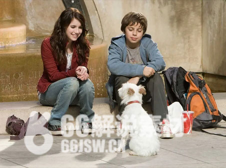 《狗狗旅馆》电影解说文案