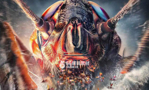 惊魂电影《蟑潮》解说文案