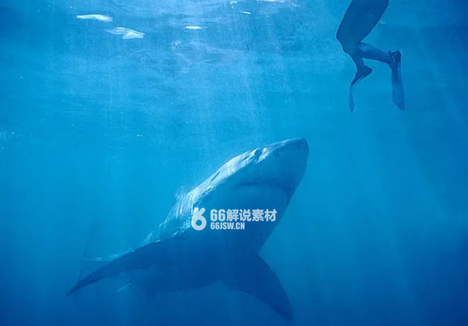 科幻灾难电影《深海狂鲨》解说文案