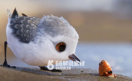 动画电影《鹬》解说文案