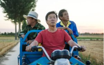 《平原上的夏洛克》电影解说文案