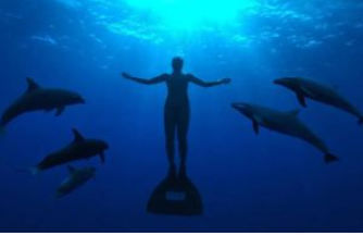 《海豚湾》电影解说文案