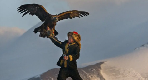 《女猎鹰人》电影解说文案