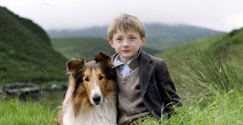 《新灵犬莱西》电影解说文案