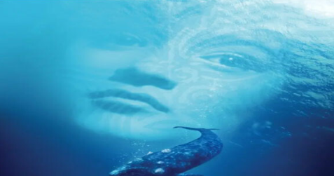 《鲸骑士》解说文案