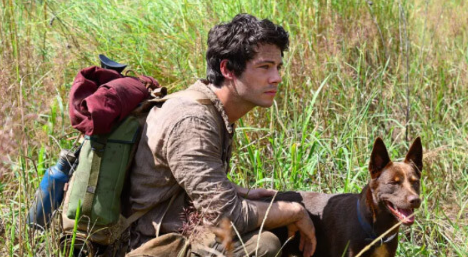 《爱与怪物》电影解说文案