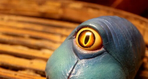 《虫虫欲动》电影解说文案