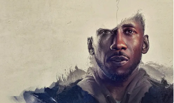 电影《天鹅挽歌》解说文案