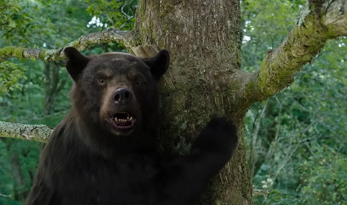 电影《熊嗨了》解说文案