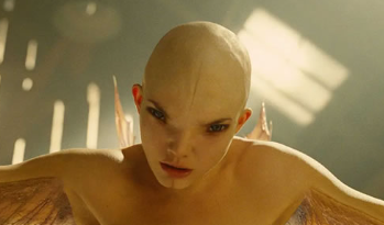 电影《人兽杂交》解说文案