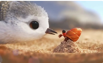 电影《鹬》解说文案