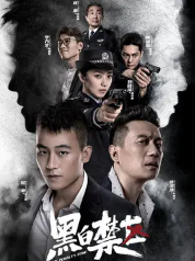 电视剧《黑白禁区》解说文案