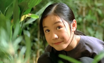 电影《青木瓜之味》解说文案