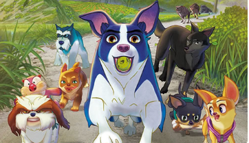 动漫电影《萌犬流浪记》解说文案