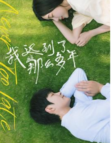 电视剧《 我迟到了那么多年》解说文案