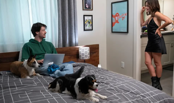 电影《小狗之爱》解说文案