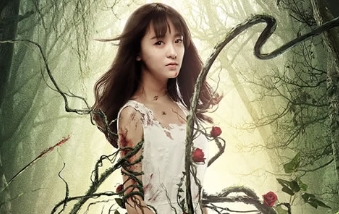 电影《花悸》解说文案