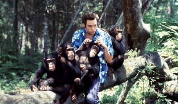 电影《神探飞机头2》解说文案