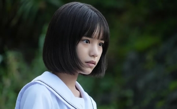 电影《忌怪岛》解说文案