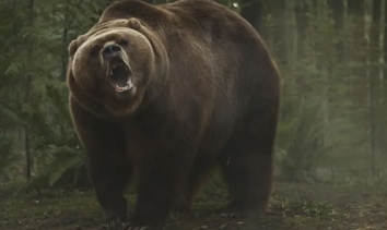 电影《嗜血灰熊》解说文案