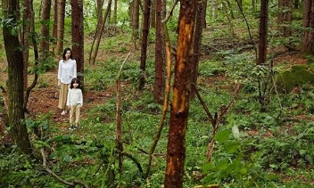 电影《苌山虎》解说文案