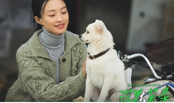 电影《沉默笔录》解说文案