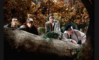 电影《怪尸案》解说文案