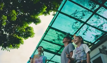 电影《窄路微尘》解说文案