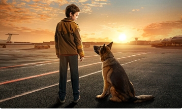 电影《忠犬帕尔玛》解说文案