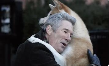 电影《忠犬八公的故事》解说文案