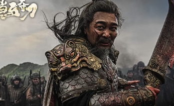 电影《挡马夺刀》解说文案