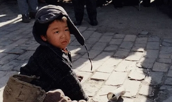 电影《孤儿泪》解说文案