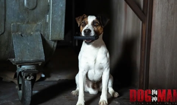 电影《狗神》解说文案