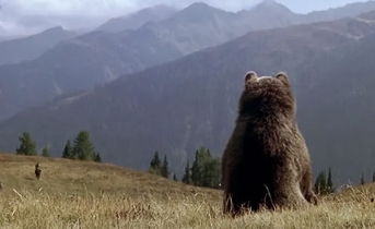 电影《熊的故事》解说文案