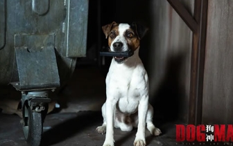 电影《狗神》解说文案