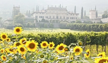 电影《给朱丽叶的信》解说文案