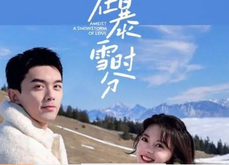 电视剧《在暴雪时分》剧情解说