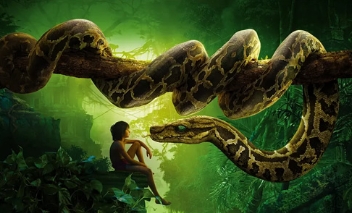 电影《奇幻森林》解说文案