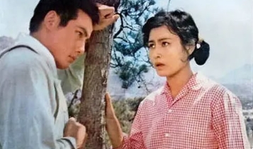 电影《花开花落》解说文案