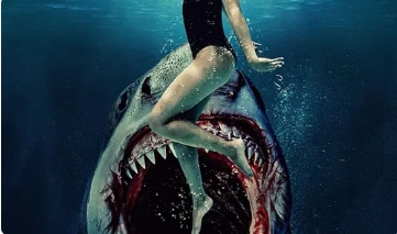 电影《鲨齿险滩》解说文案