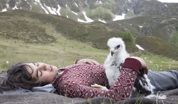 电影《追鹰日记》解说文案