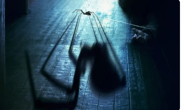 电影《屋中异蛛》解说文案