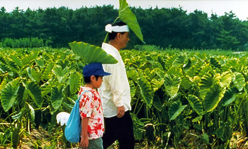 菊次郎的夏天