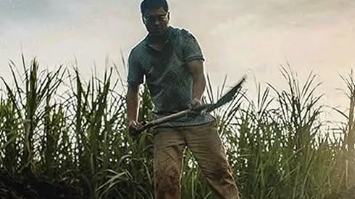 电影《世外逃劫》解说文案