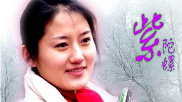 电影《紫陀螺》解说文案