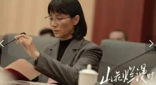 电视猫《山花烂漫时》解说文案