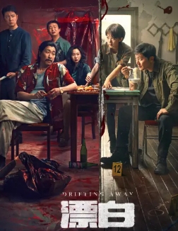 电视剧《漂白》解说文案