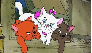 电影《猫儿历险记》解说文案